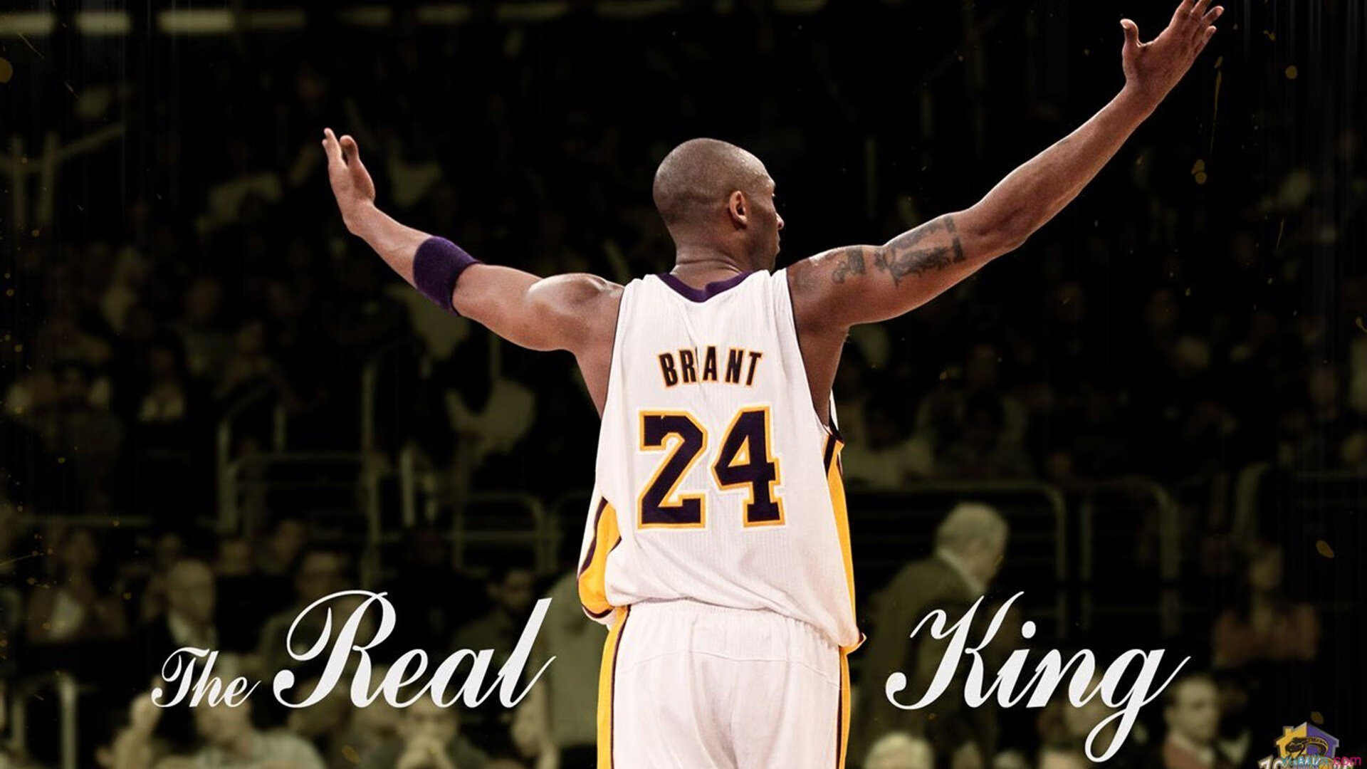 美网碾压联合杯，梅德韦杰夫刷新纪录背后的网球格局之变